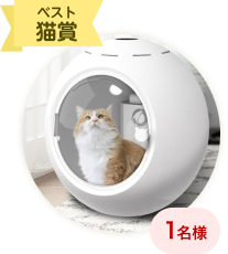 ペットドライルーム 乾燥ボックス