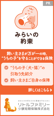 みらいの約束