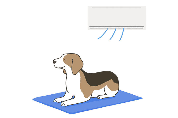 犬の熱中症対策(屋内編):室内温度を適度にする