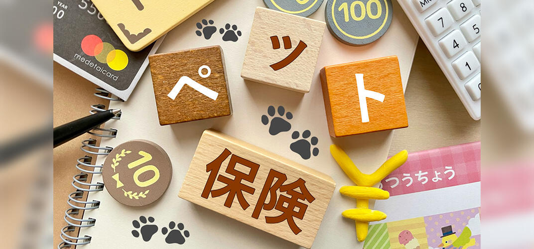 ペット保険とは？必要性や平均相場・選び方のポイントなどを紹介
