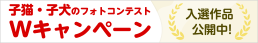 子猫・子犬のフォトコンテストWキャンペーン 詳しくはこちら
